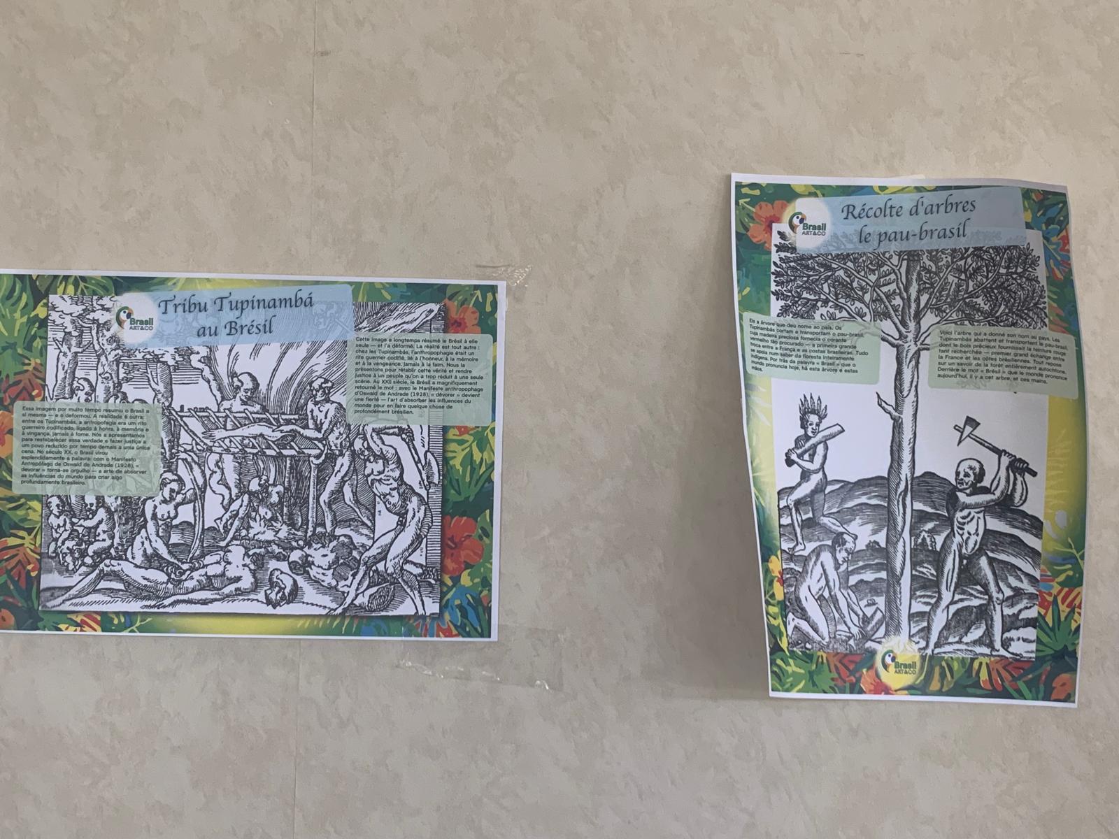 Tribu Tupinambá et récolte du pau-brasil